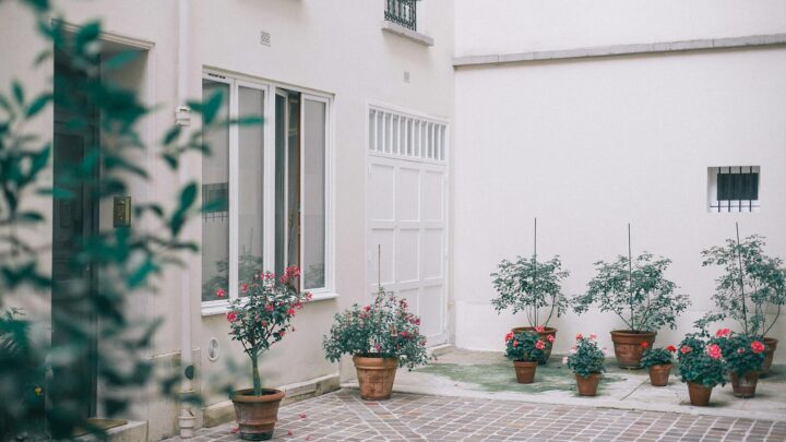 Taras z kostki brukowej w Nakle nad Notecią jak marzenie – praktyczny poradnik